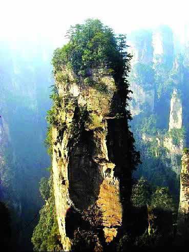 張家界國家地質森林公園、黃石寨、金鞭溪休閑一日游