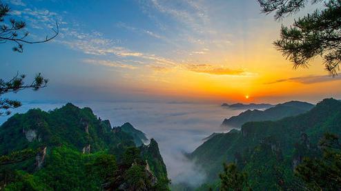 張家界森林公園（金鞭溪、袁家界、楊家界、天子山、十里畫廊）住山上2天1游（可看日出）
